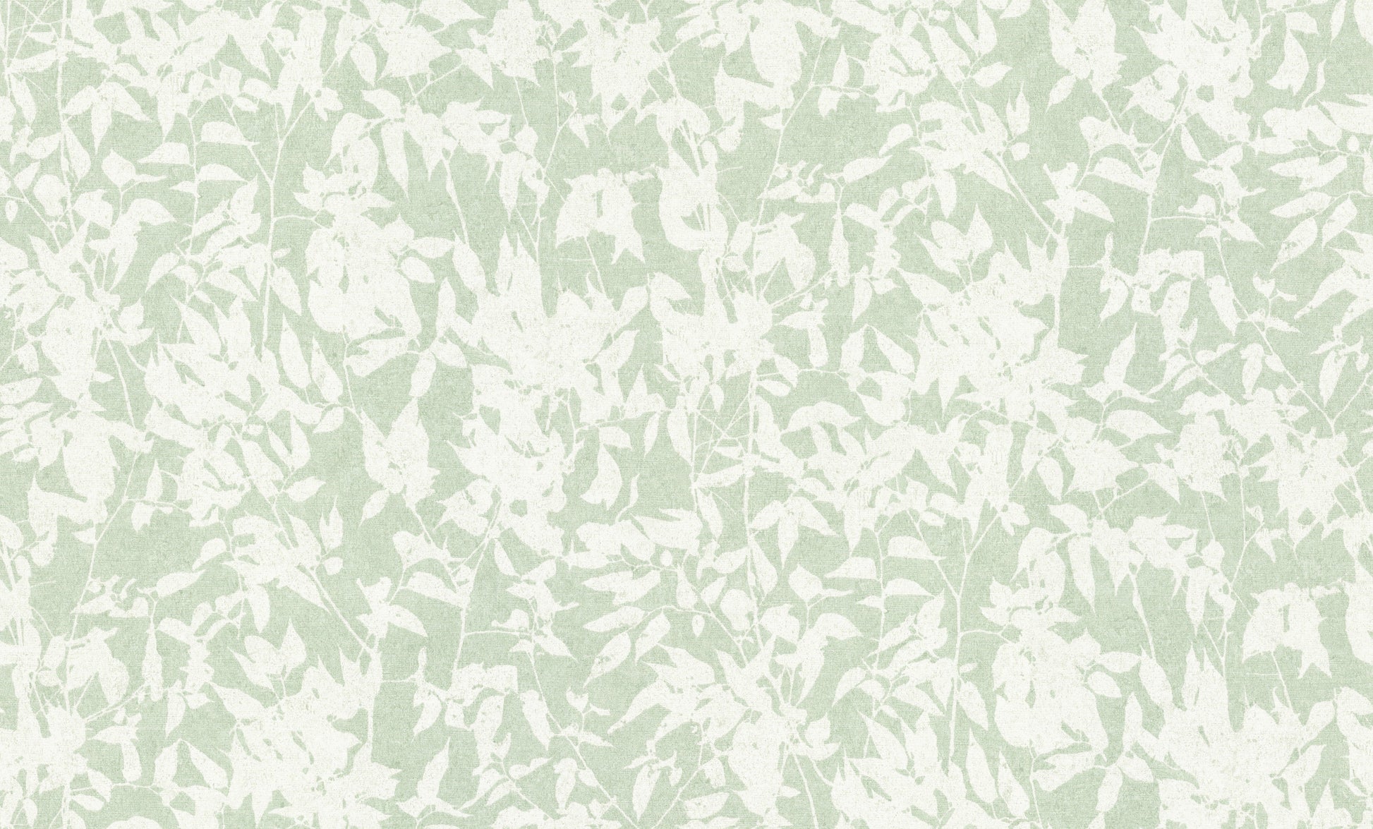 Wit Botanisch - ER07-0435 - Image4 - Gentle - 1043507