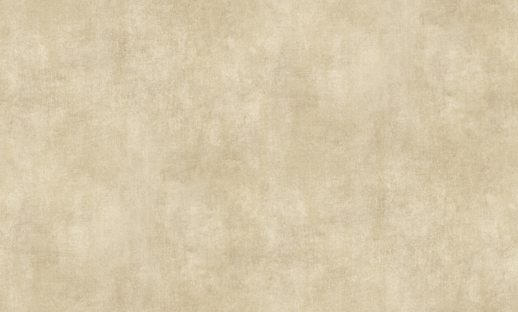 Beige Uni - ER02-0438 - Image5 - Elle 4 - 1043802