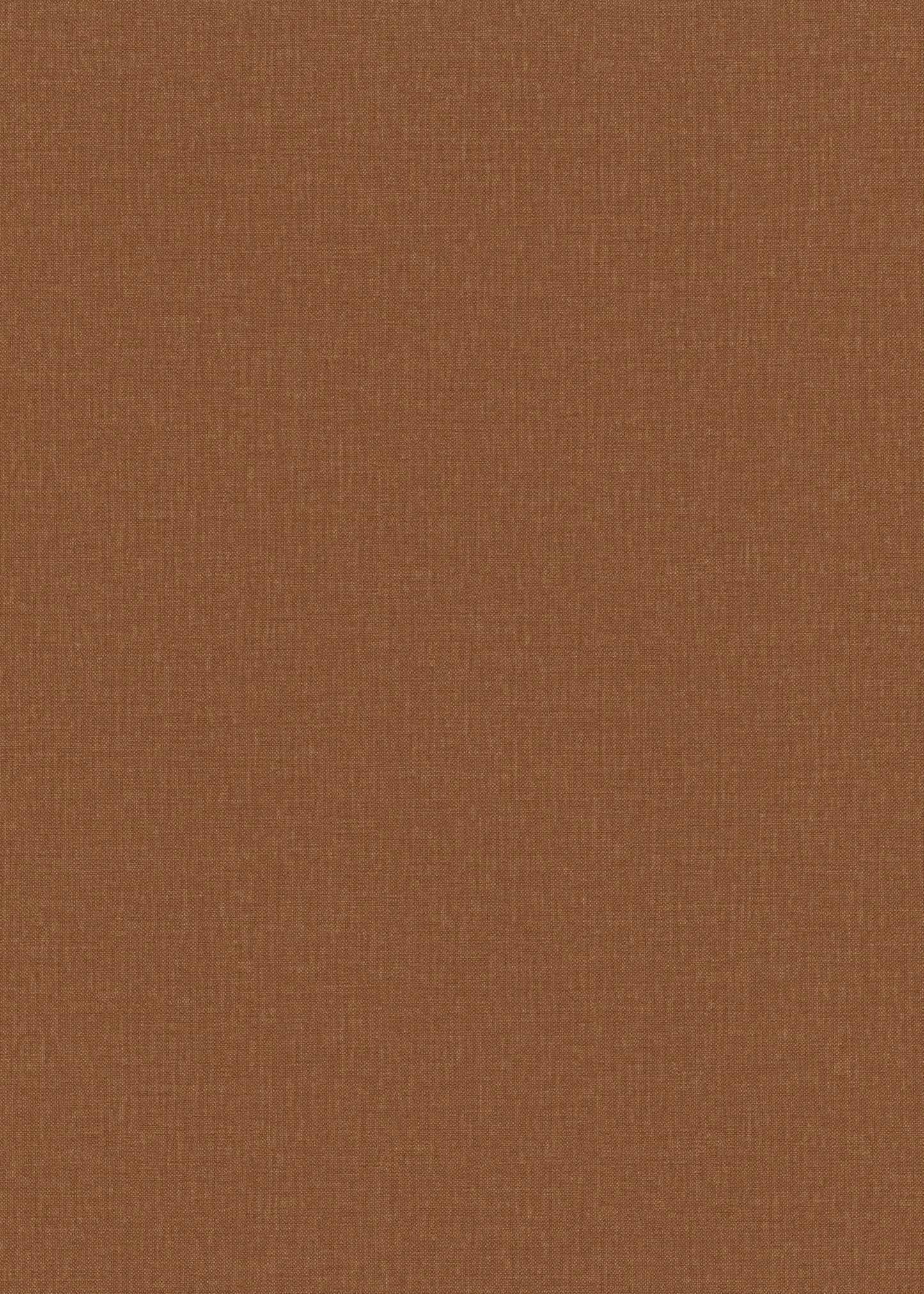 Terracotta Uni - ER13-0444 - Image1 - Elle 4 - 1044413