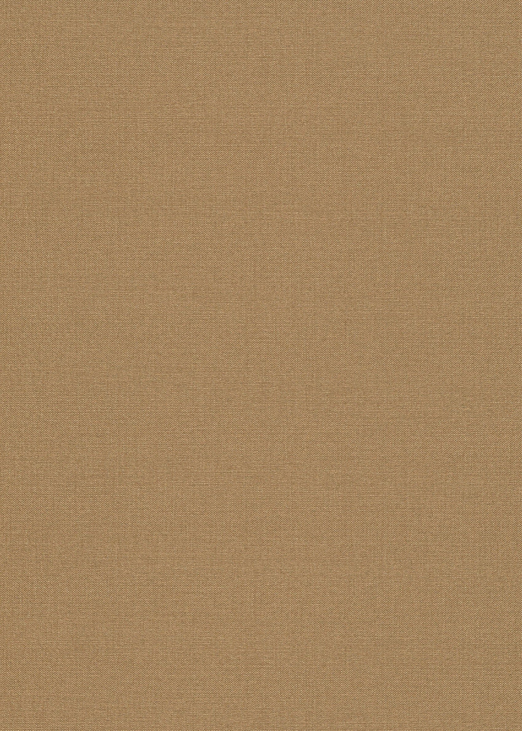 Beige Uni - ER30-0444 - Image1 - Coulours & Textures - 27130