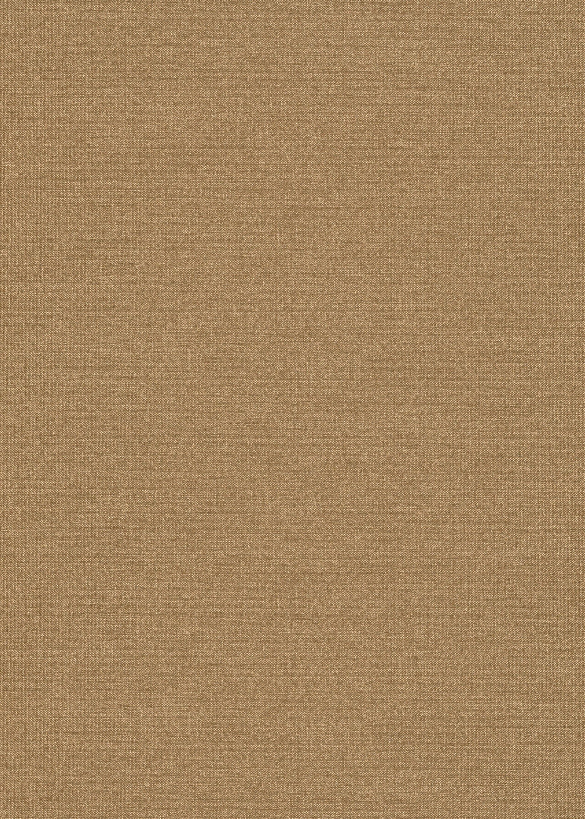 Beige Uni - ER30-0444 - Image1 - Coulours & Textures - 27130