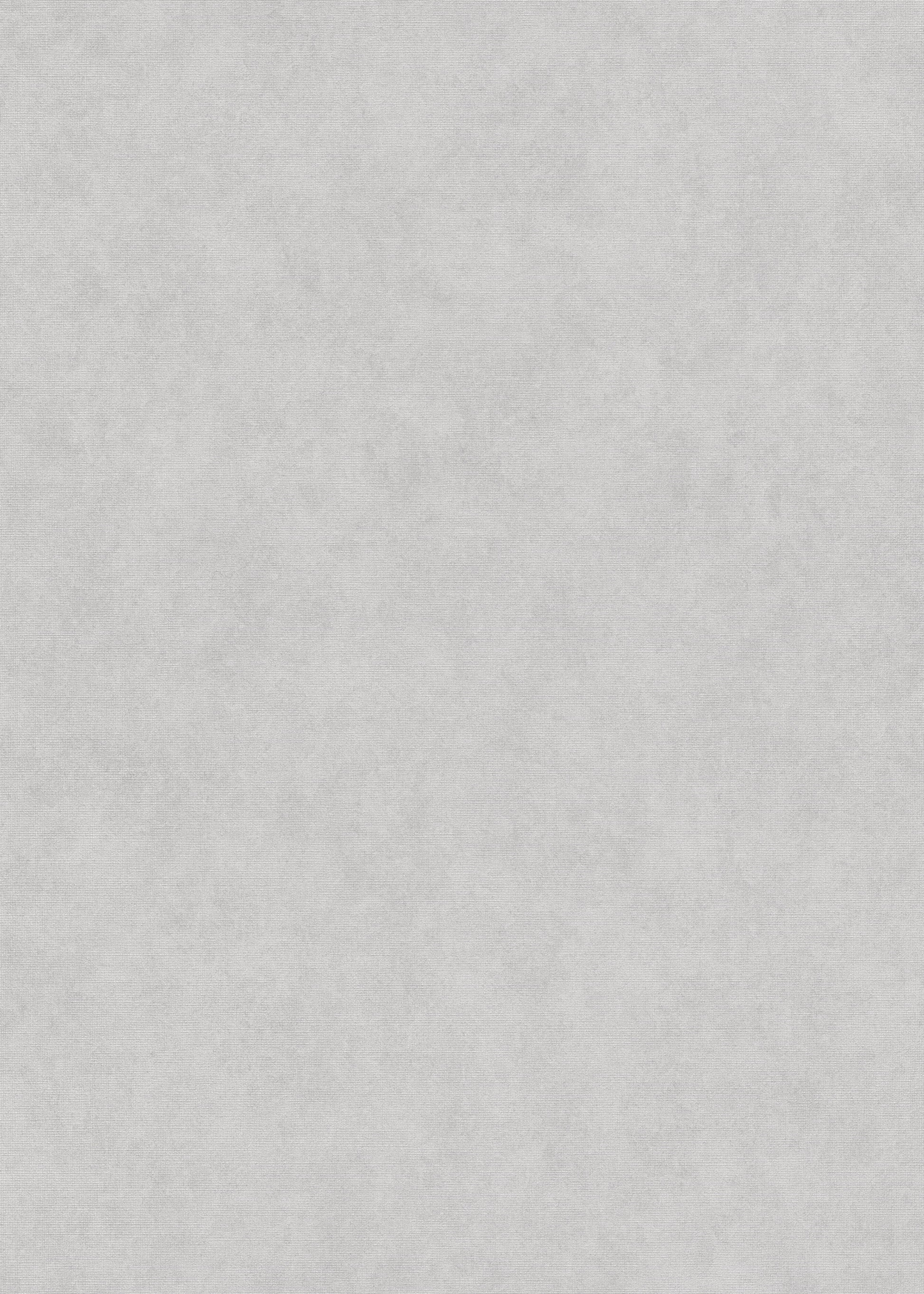 Zilver Uni - ER31-0473 - Image1 - Elysium - 1047331