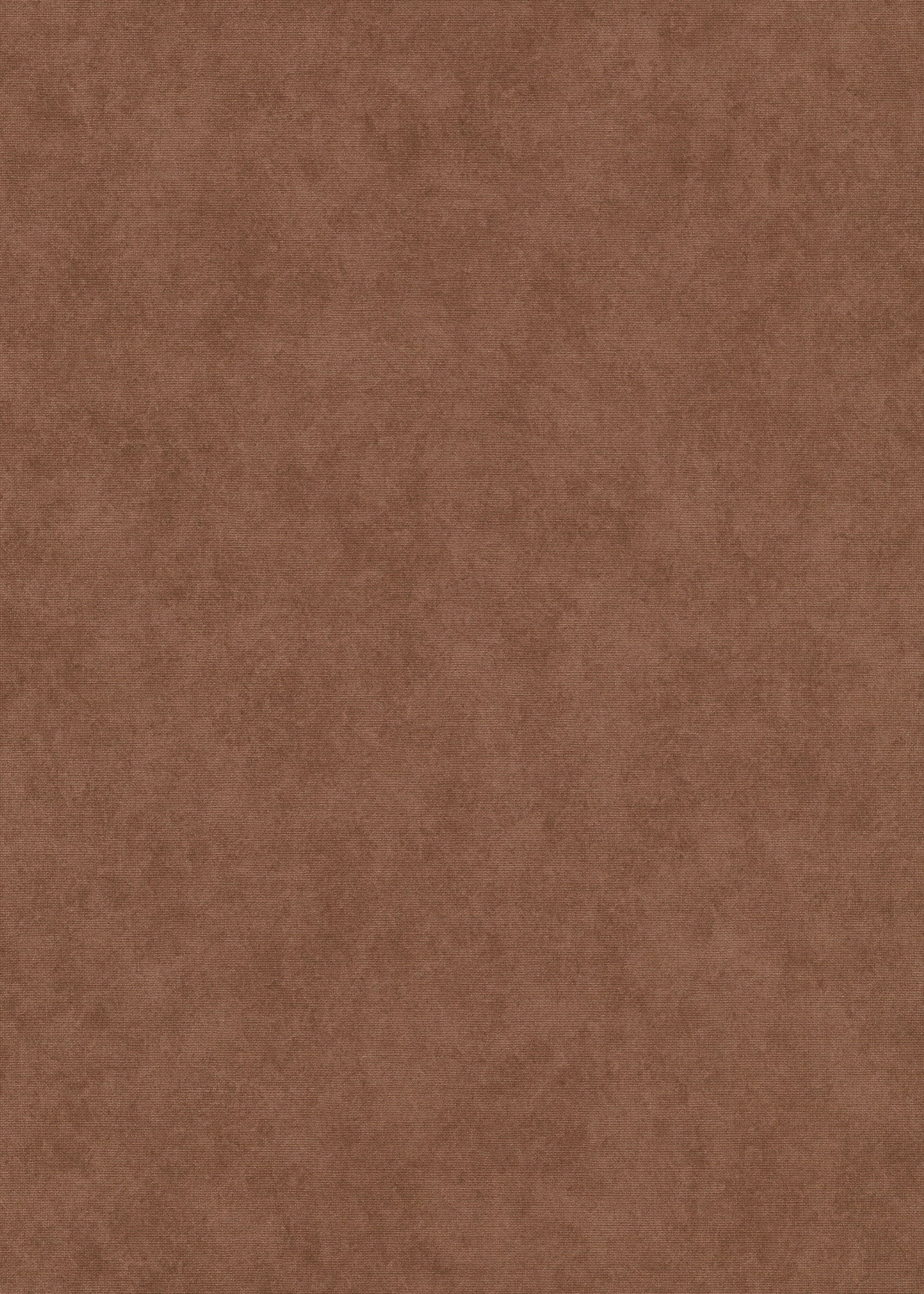 Bruin Uni - ER48-0473 - Image1 - Elysium - 1047348