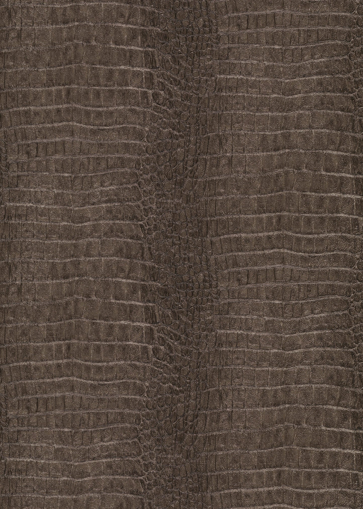 Bruin Dieren - ER11-0560 - Image1 - Forest Dreams - 1056011