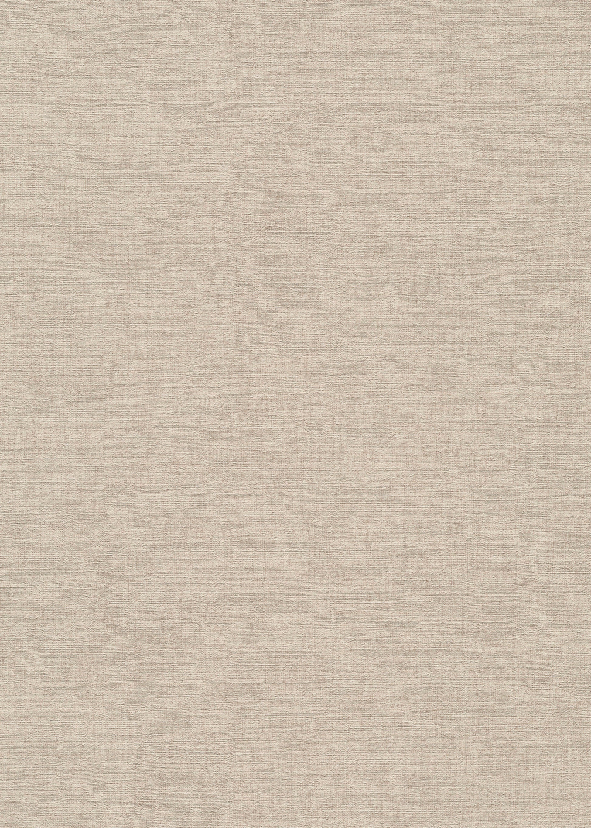 Beige Uni - ER02-0563 - Image1 - Forest Dreams - 1056302