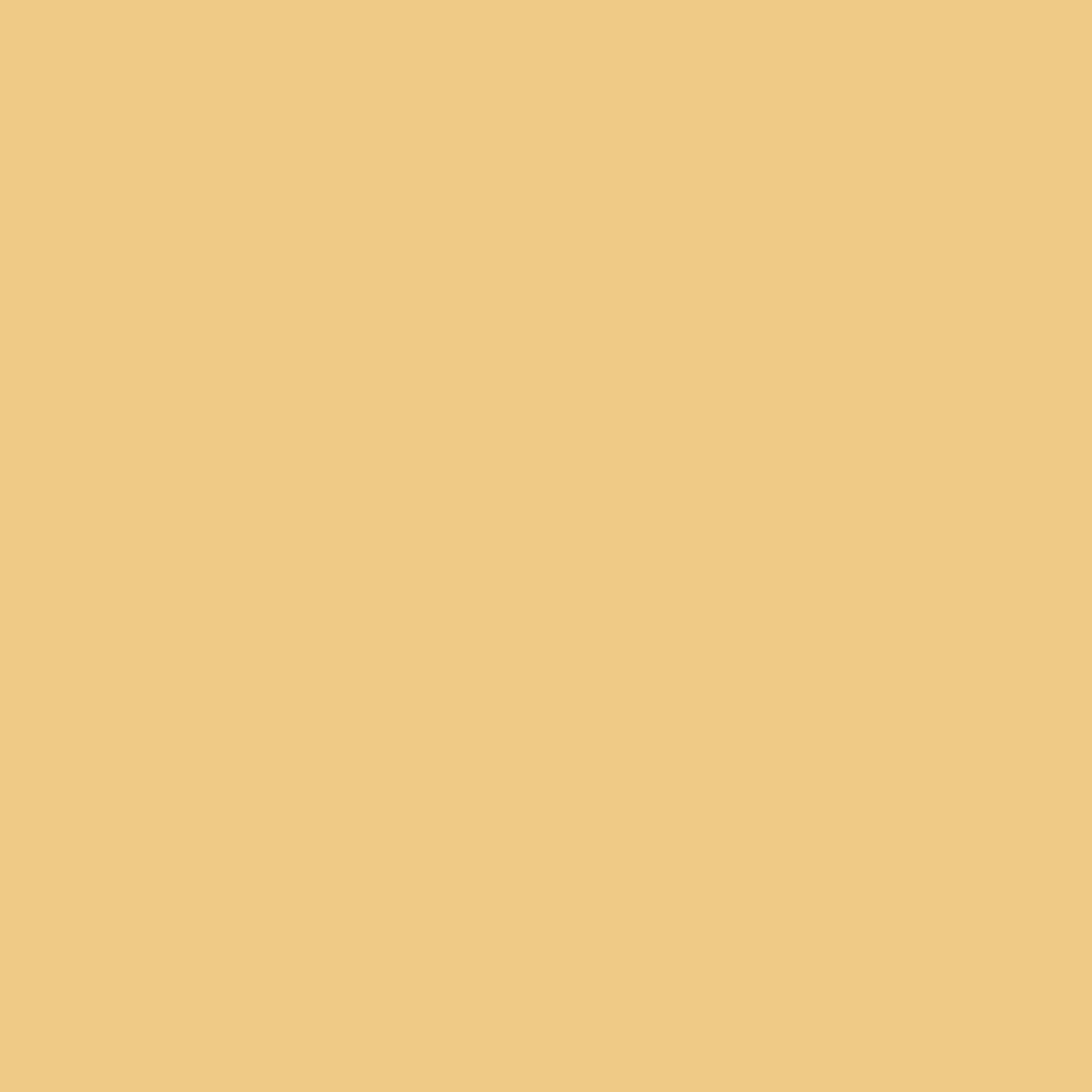 Beige Uni - DU23-0222 - Image1 - Akvarell - 222-23