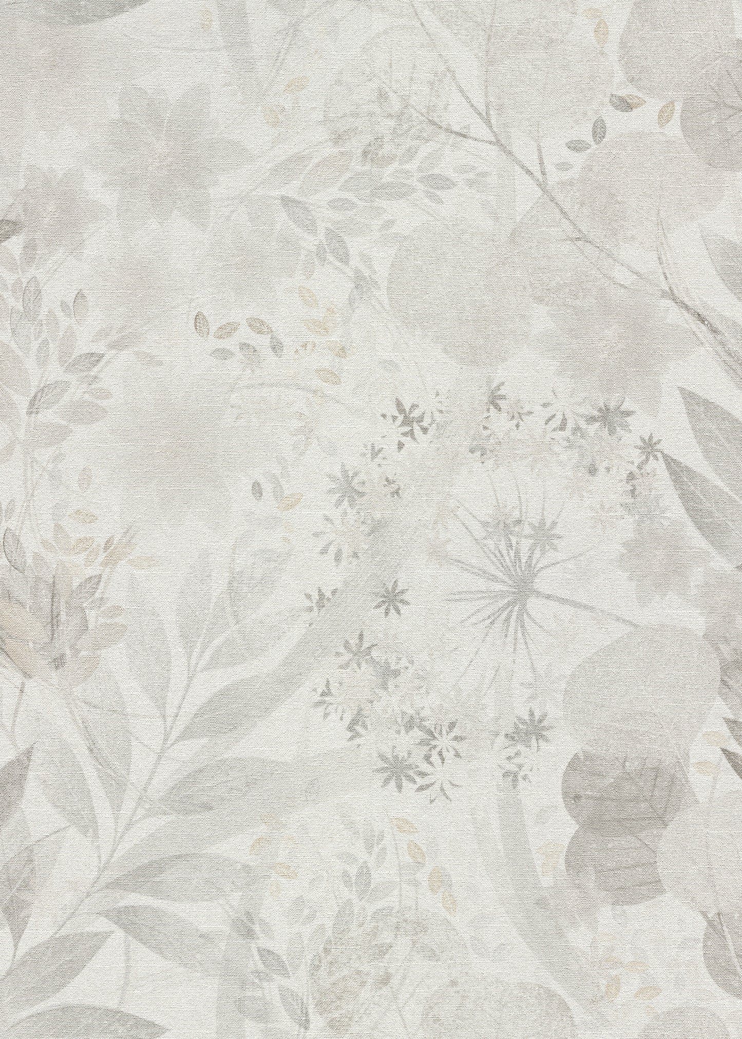 Wit Botanisch - ER31-0506 - Image1 - Floralie - 2709