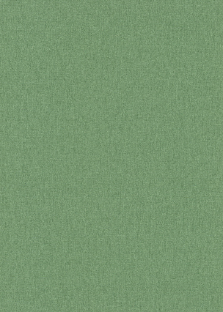 Groen Uni - ER07-0393 - Image1 - Coulours & Textures - 27116