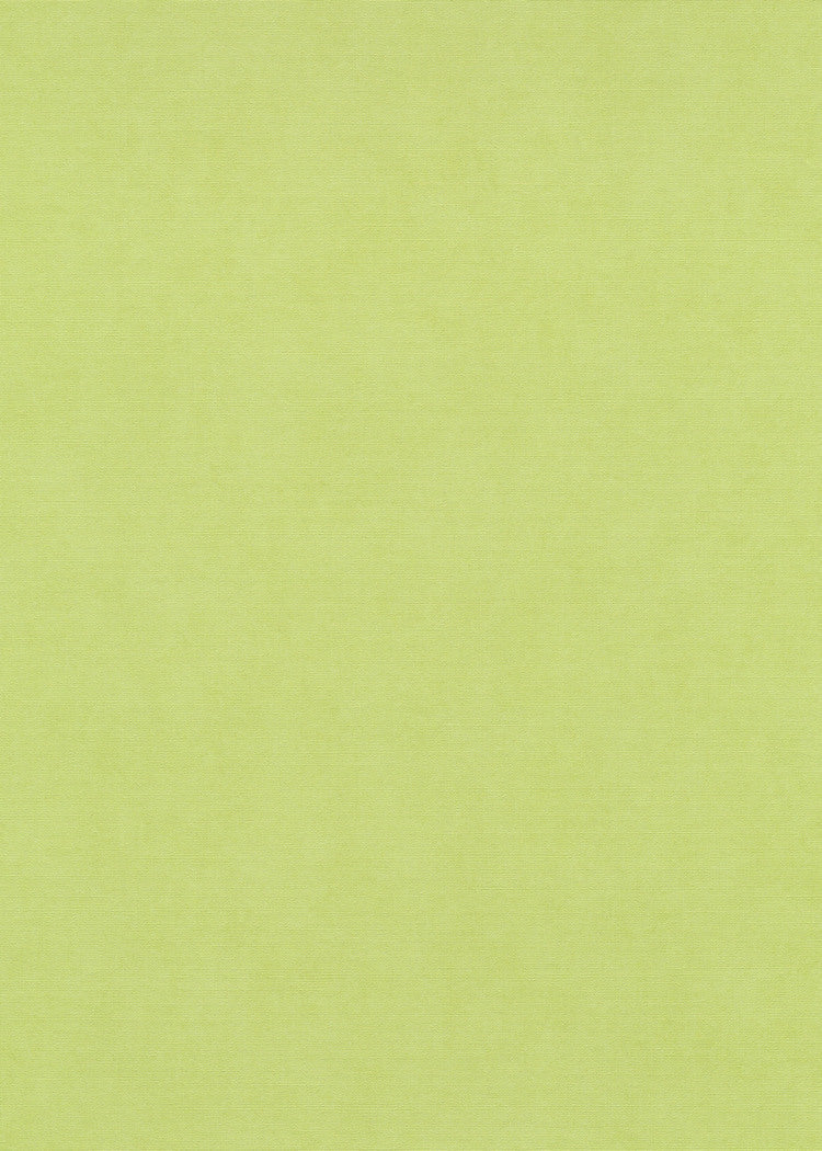 Groen Uni - ER35-0473 - Image1 - Coulours & Textures - 27154