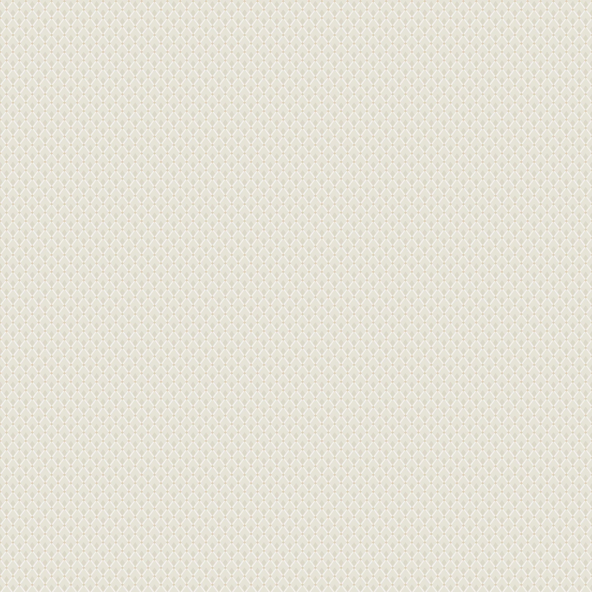 Beige Grafisch - BS87-0132 - Image1 - Timeless Traditions - 3287