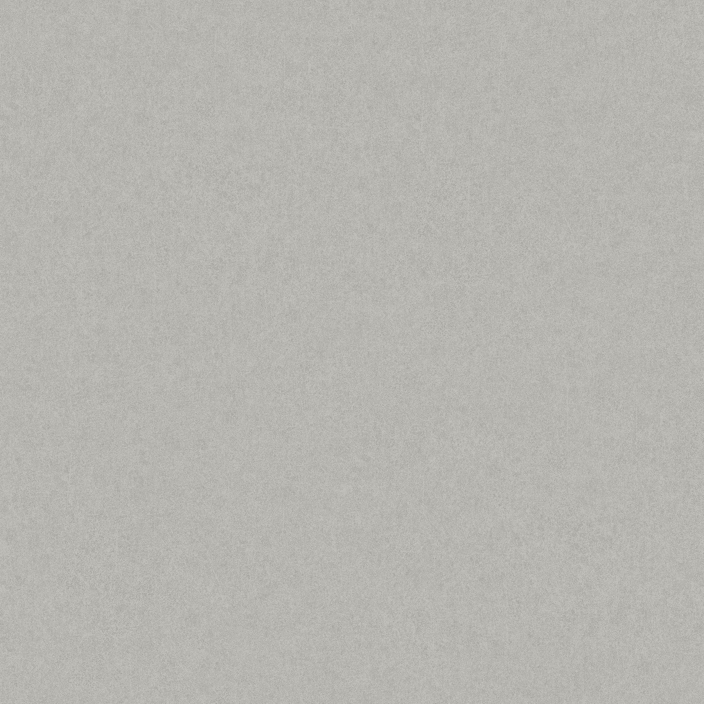 Zilver Uni - BS04-2387 - Image1 - Borosan Bas - 38704