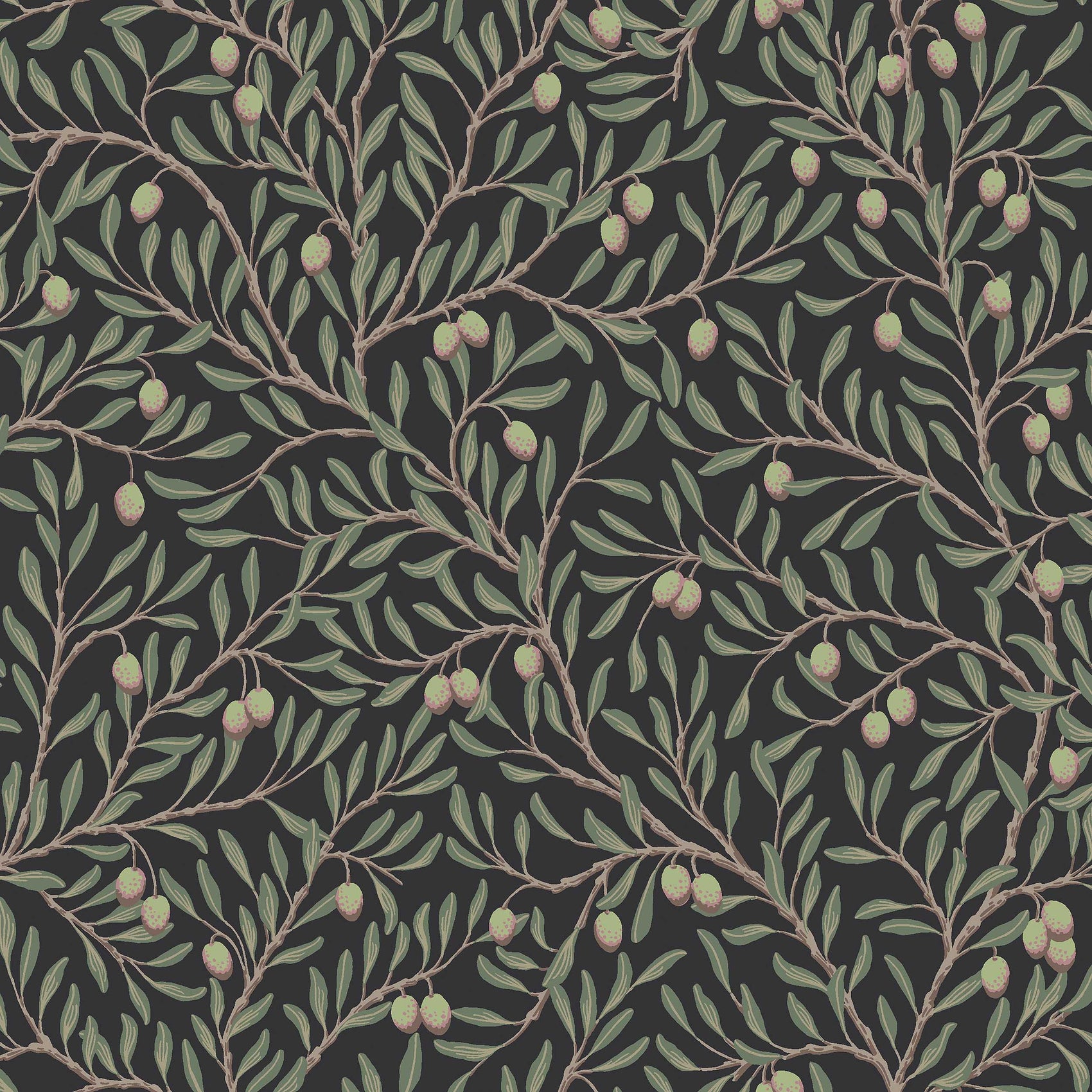 Zwart Botanisch - BS06-0157 - Image1 - Orangeri - 5706