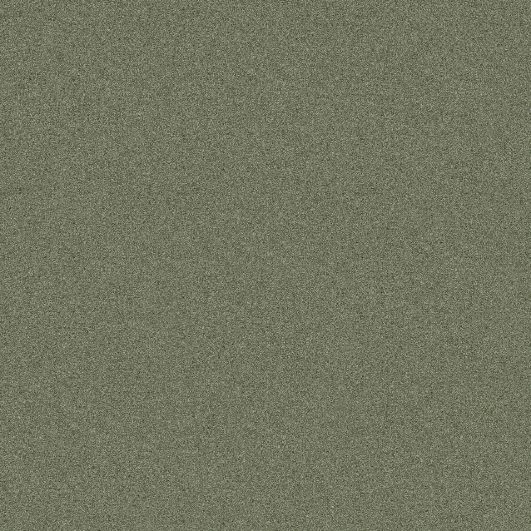 Groen Uni - BS81-0175 - Image1 - Pigment - 7581