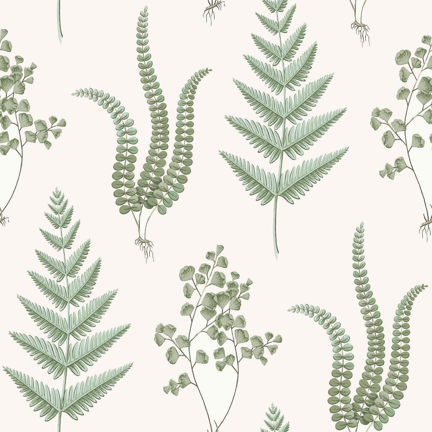 Wit Botanisch - BS57-0176 - Image1 - Falsterbo III - 7657