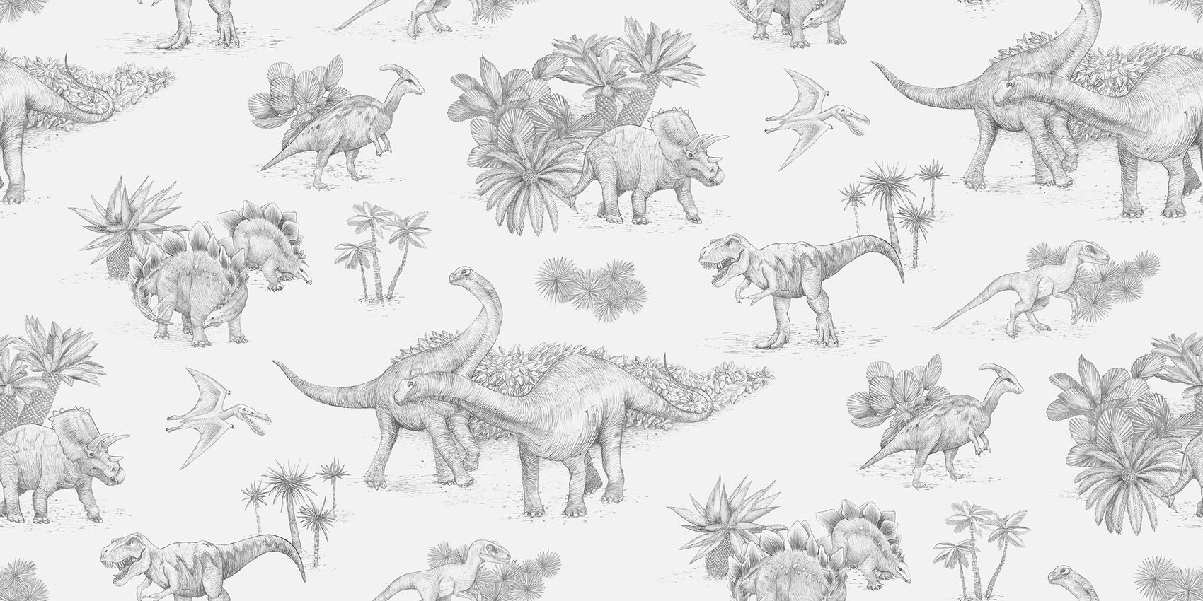 Dinosaurussen Zwart & Wit BS8W-2951