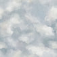 Wolkenlucht Blauw BS9W-2955