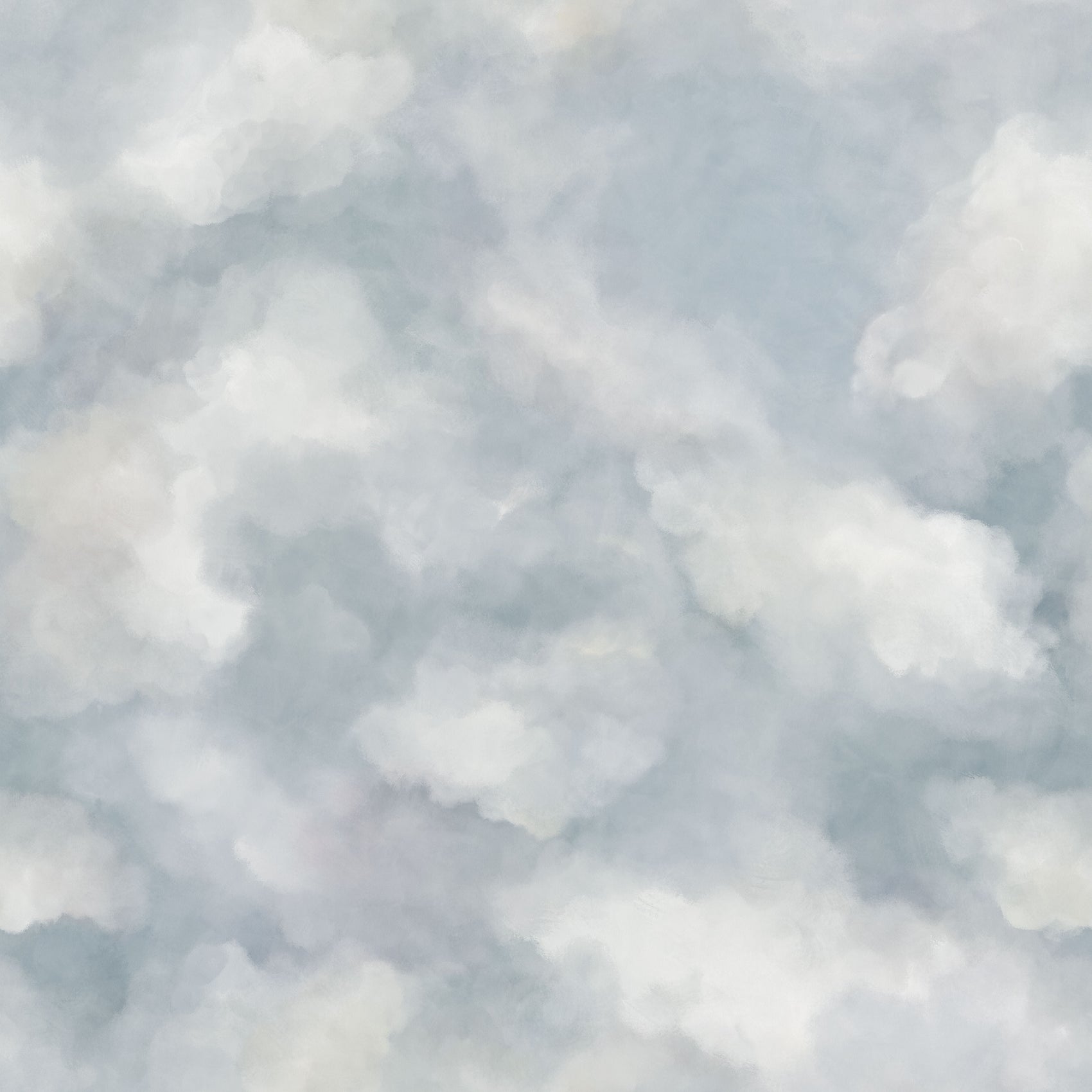 Wolkenlucht Blauw BS9W-2955