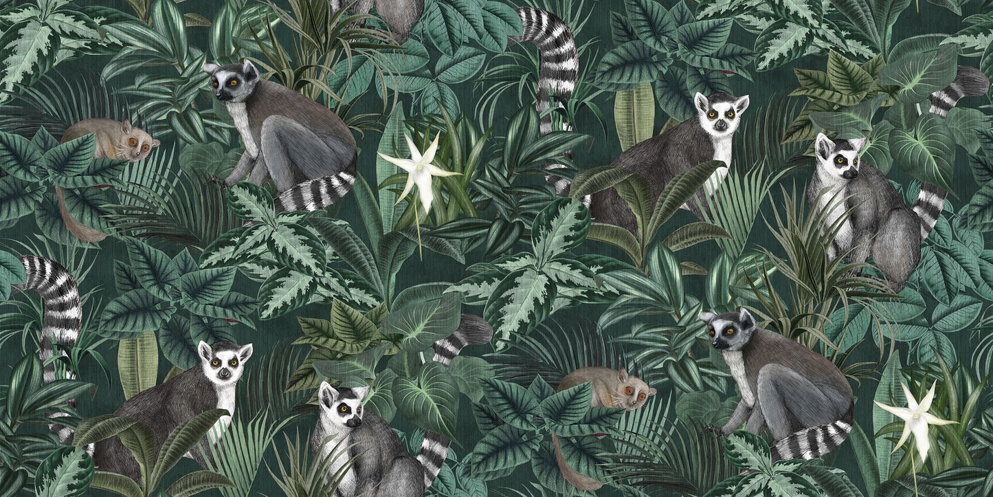 Madagascar Groen BS0W-2957