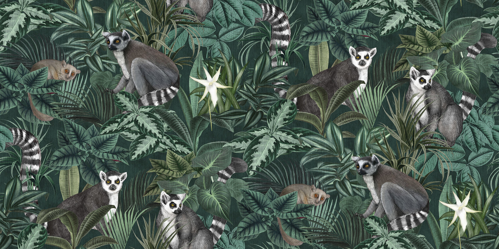 Madagascar Groen BS0W-2957