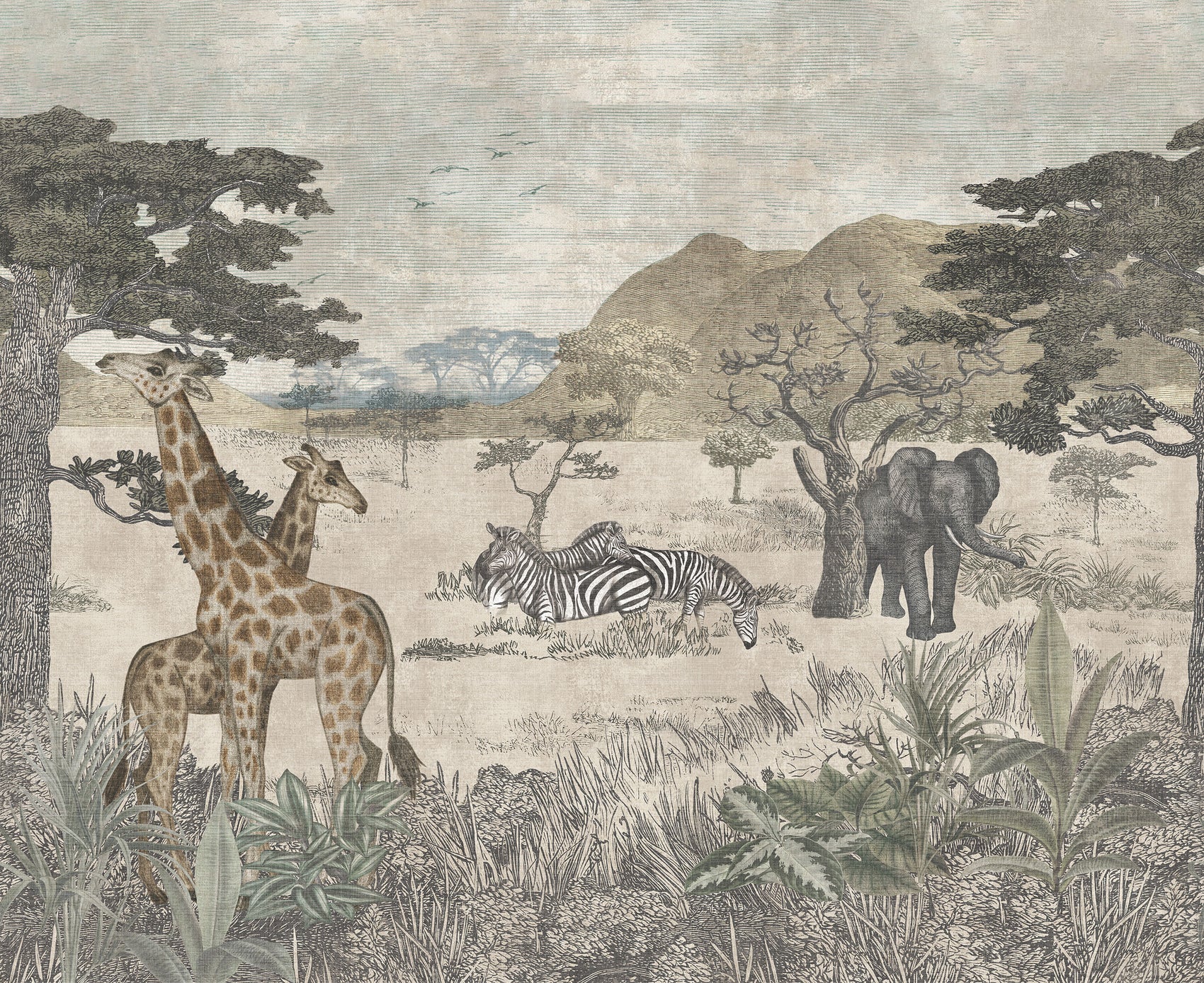 Serengeti Beige BS4W-2957