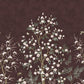 Magnoliatuin Rood BS0W-2959