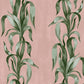 Agave Roze BS7W-2960
