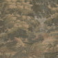 Wandtapijt Landschap Groen BS6W-2966