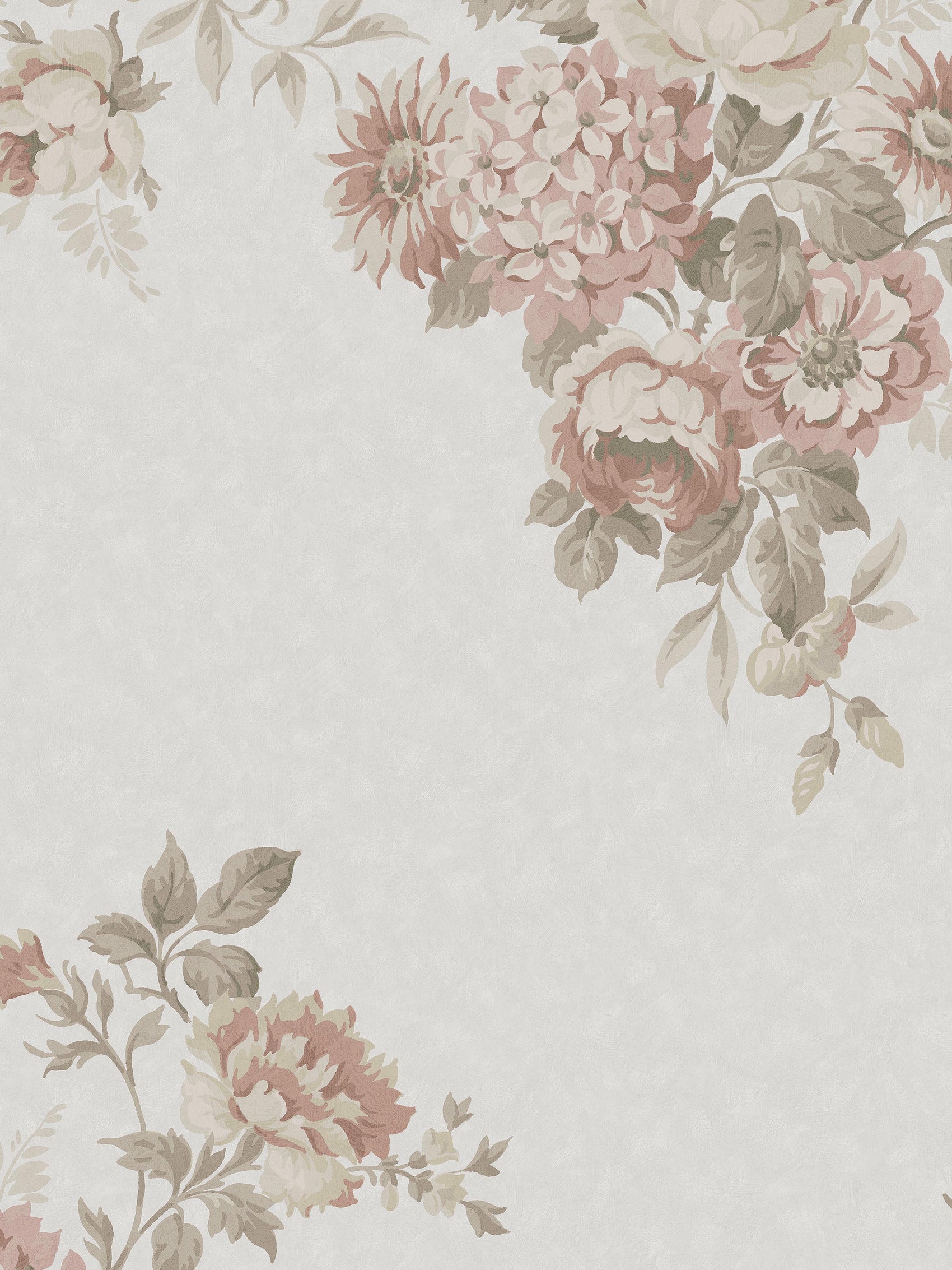 Hortensia Grand Roze BS6W-2971