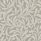 Vintergröna Grand Groen BS7W-2974