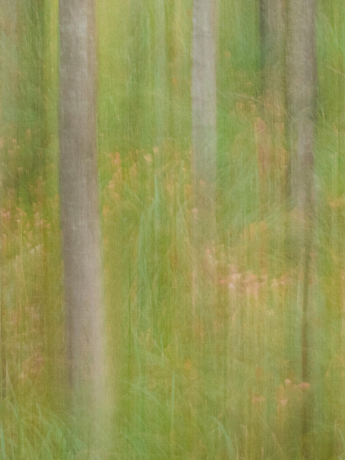 Oktoberbjörkar Groen BS1W-2977