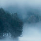 Delsjön Blauw BS0W-2978