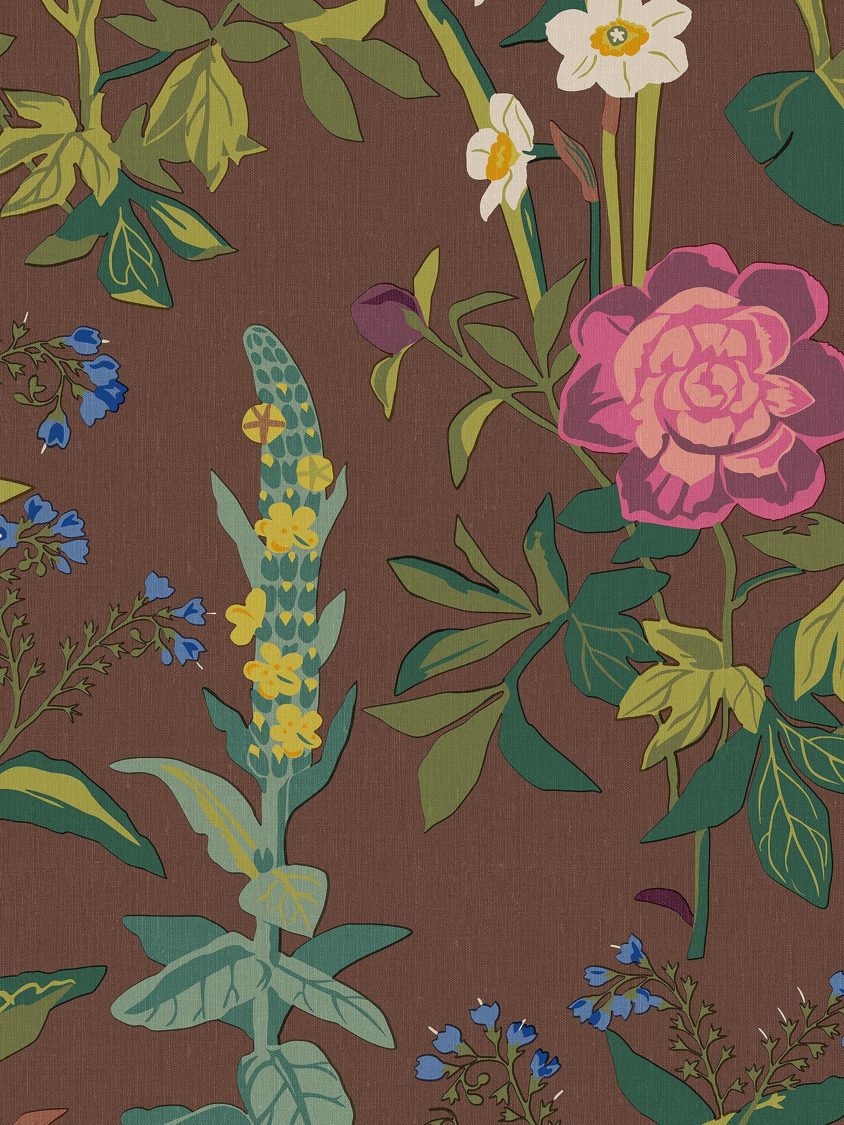 Sommar Bruin BS2W-2982