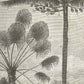 Zuid-Amerikaanse jungle met palmbomen NH250002