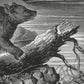Amerikaanse grizzlybeer bij bergmeer NH250008