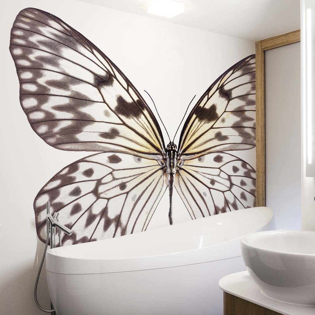 Idea Leuconoe NH250015