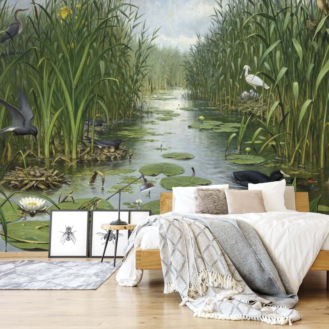 Naardermeer NH250066