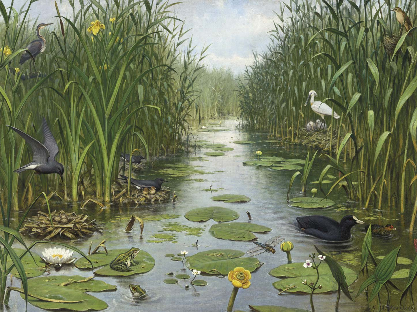 Naardermeer NH250066