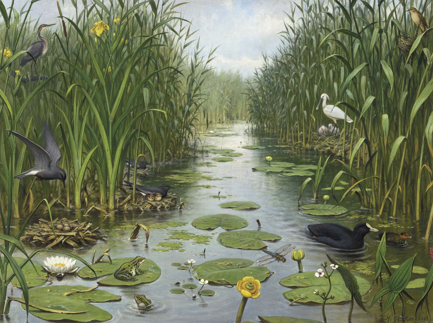 Naardermeer NH250066