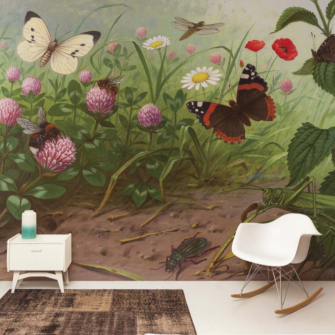Insecten NH250067