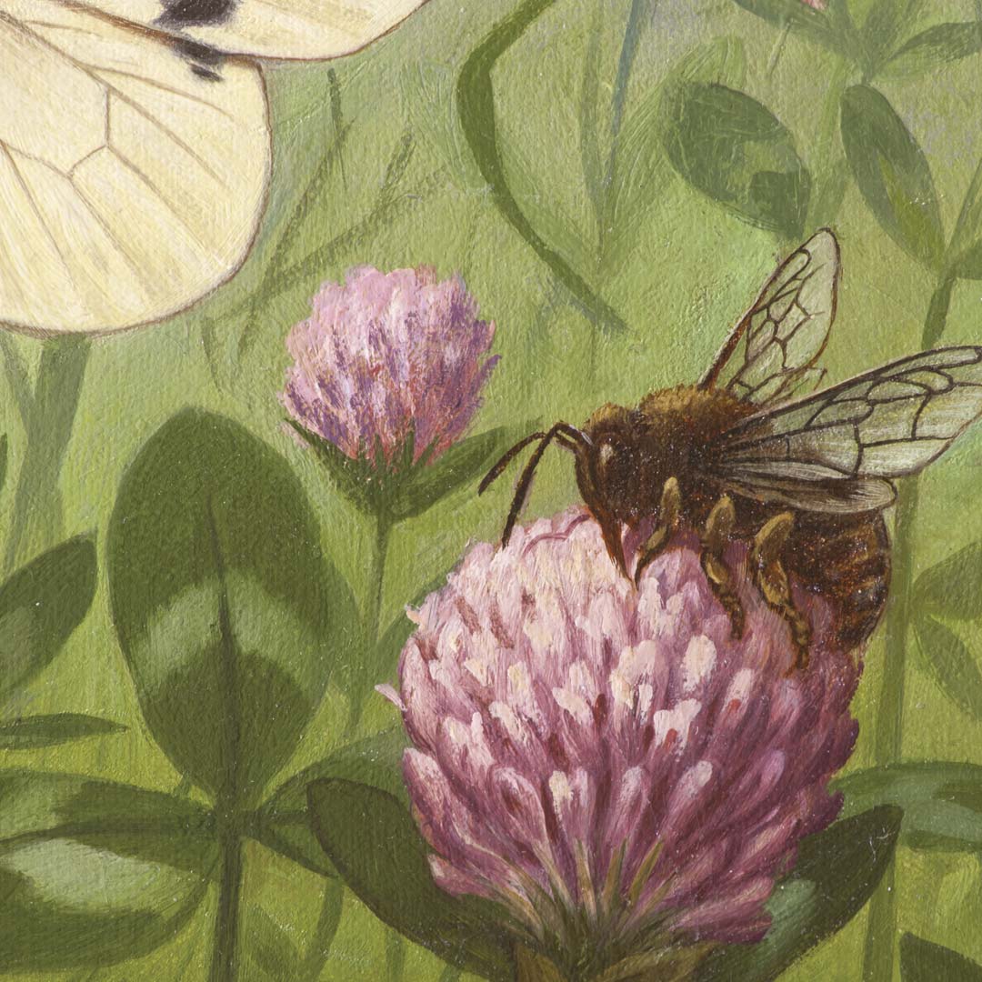 Insecten NH250067