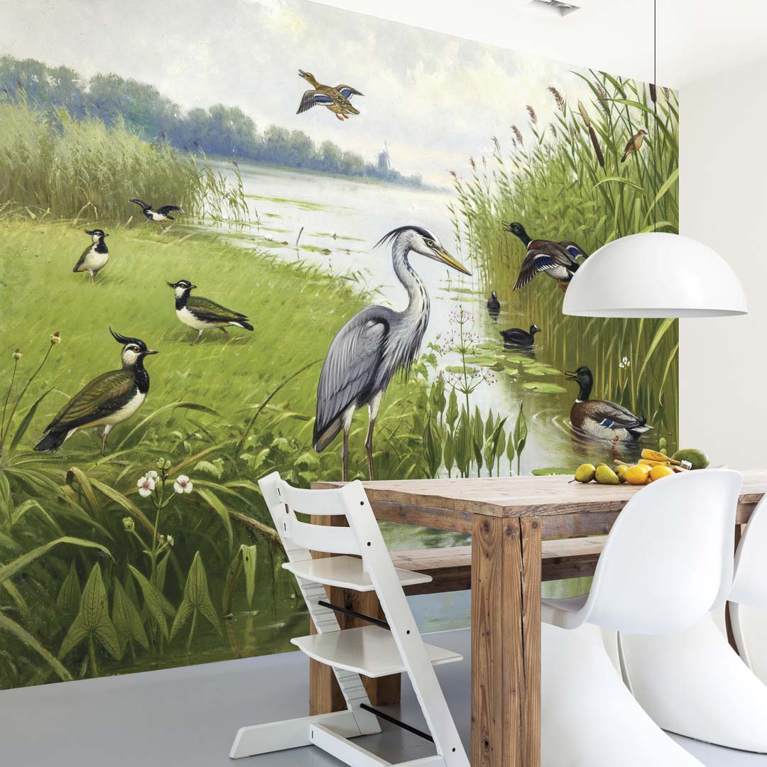 Water- en weidevogels NH250074