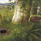 Insecteneters NH250075