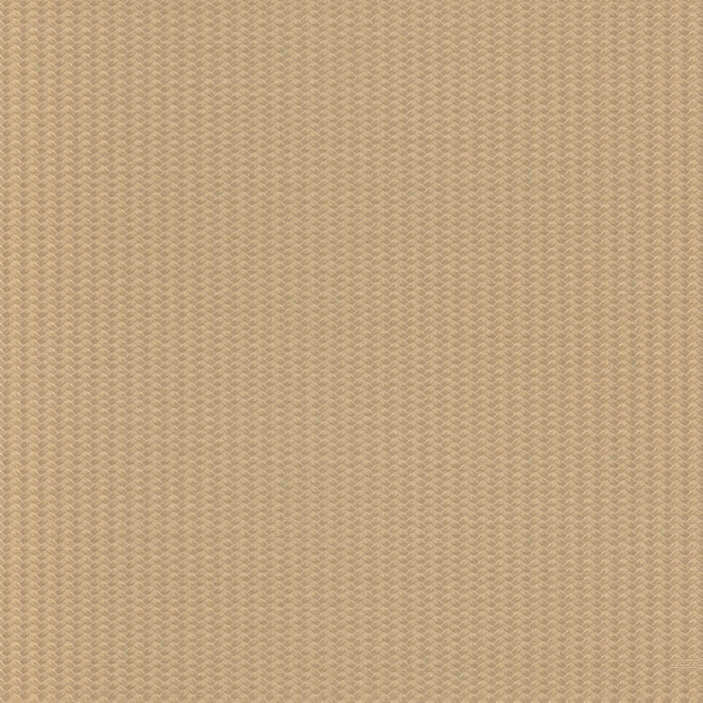 Beige Grafisch - ZM35-0812 - Image1 - Lamborghini - Z12835