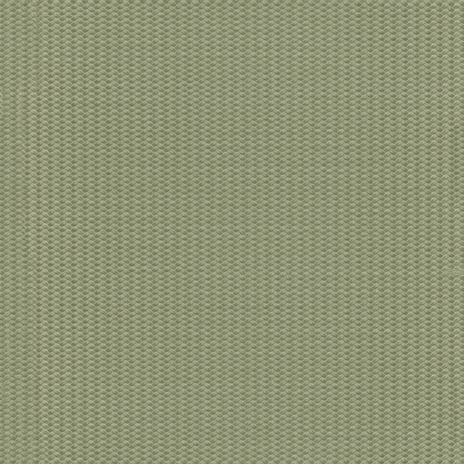 Groen Grafisch - ZM42-0812 - Image1 - Lamborghini - Z12842