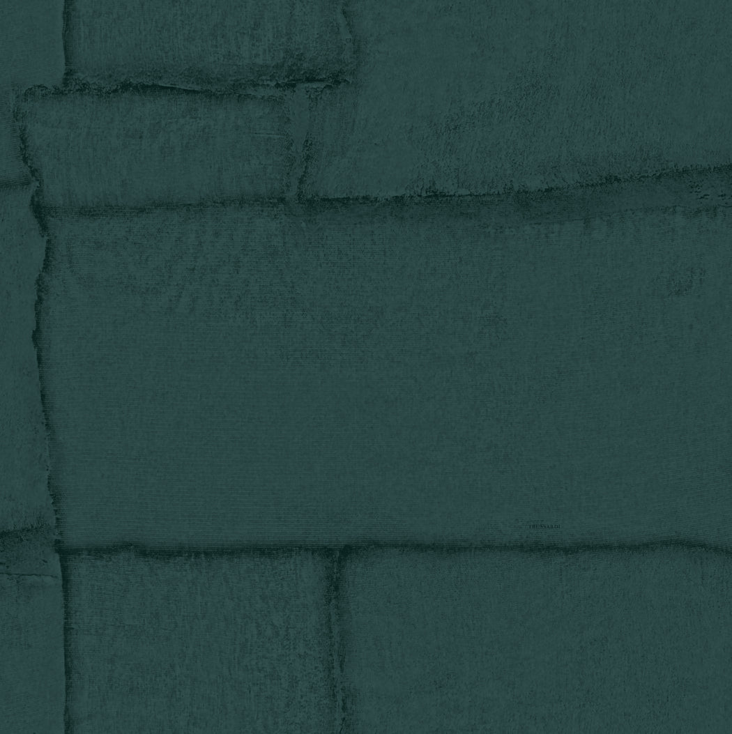 Groen Abstract - ZM06-0330 - Image1 - Trussardi 8 - Z30306