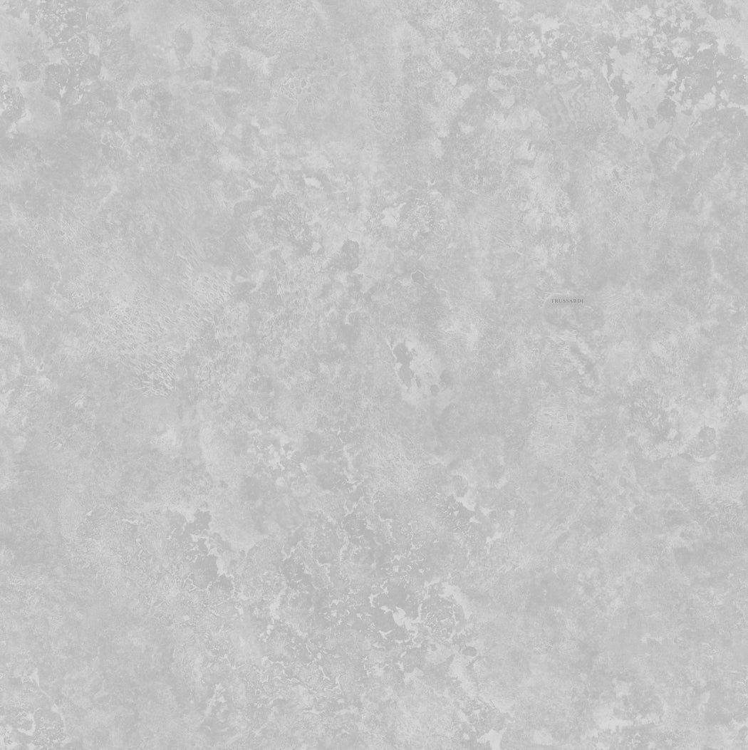 Zilver Modern - ZM42-0330 - Image1 - Trussardi 8 - Z30342