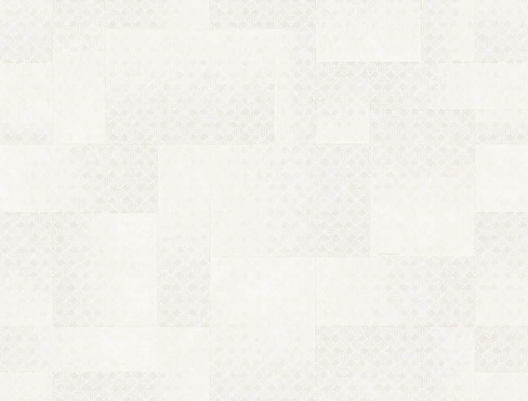 Wit Grafisch - ZM45-0330 - Image1 - Trussardi 8 - Z30345