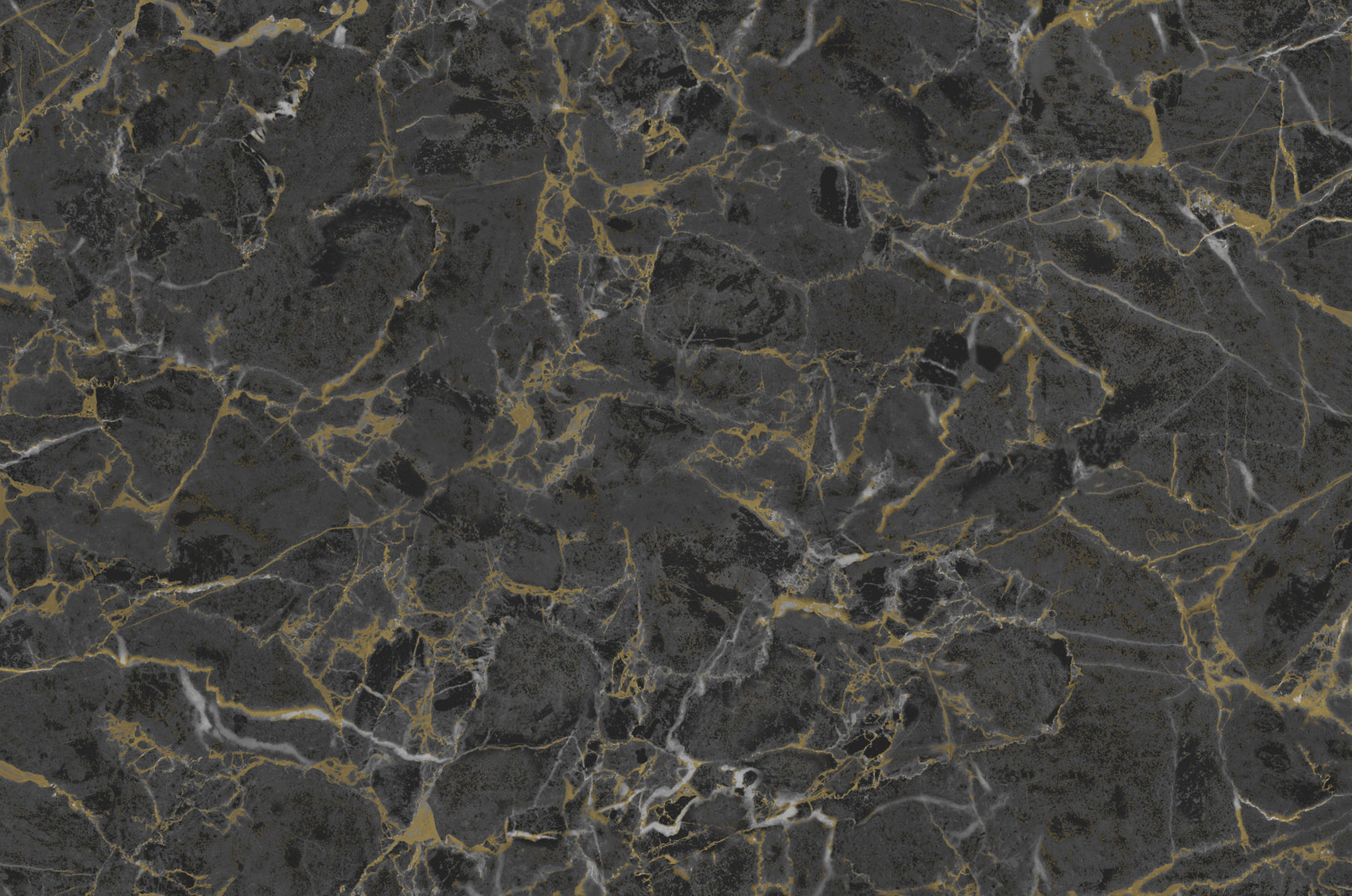 Grijs Marmer - ZM02-0081 - Image1 - Philipp Plein 2 - Z81002