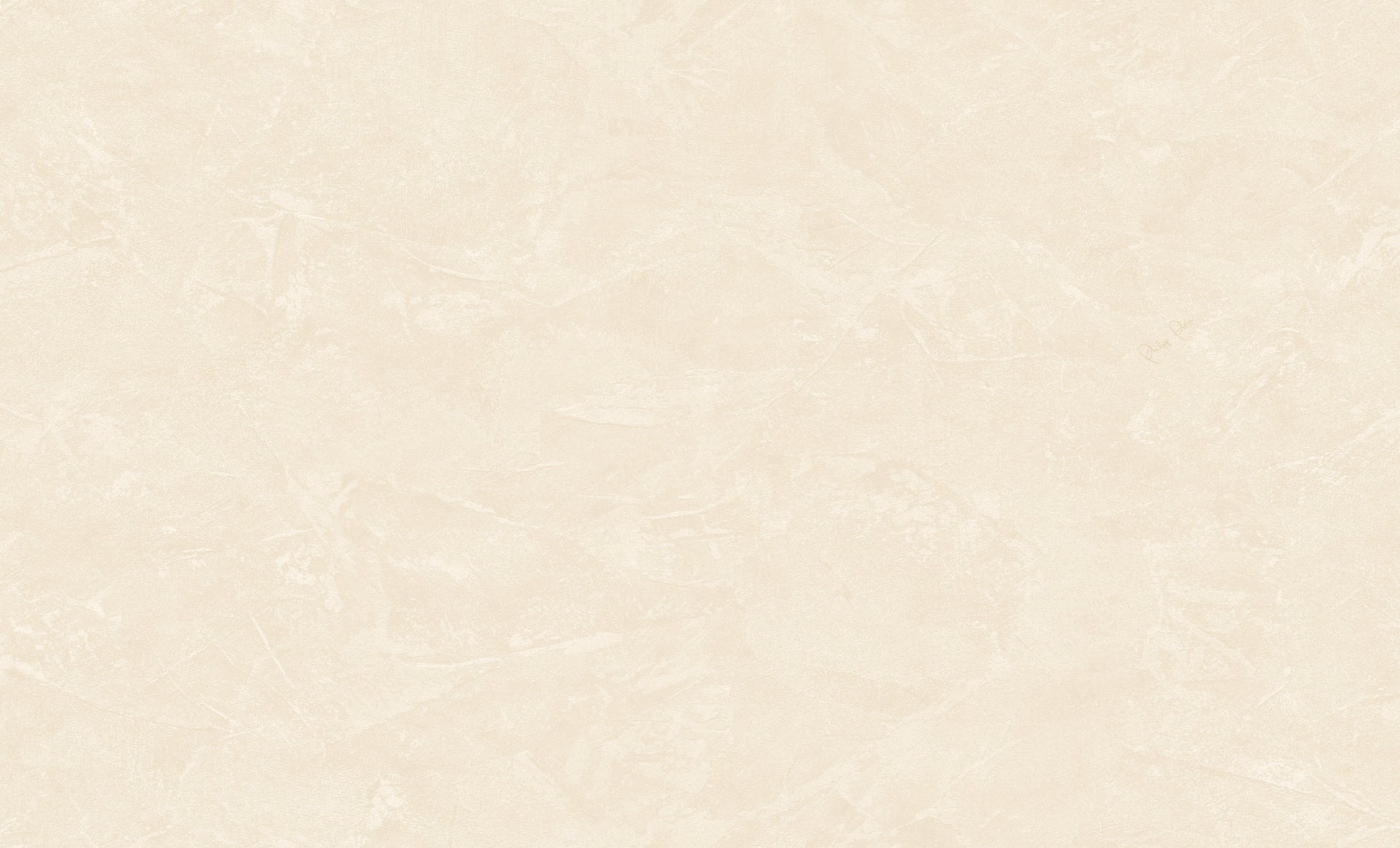 Wit Textiel - ZM11-0081 - Image1 - Philipp Plein 2 - Z81011