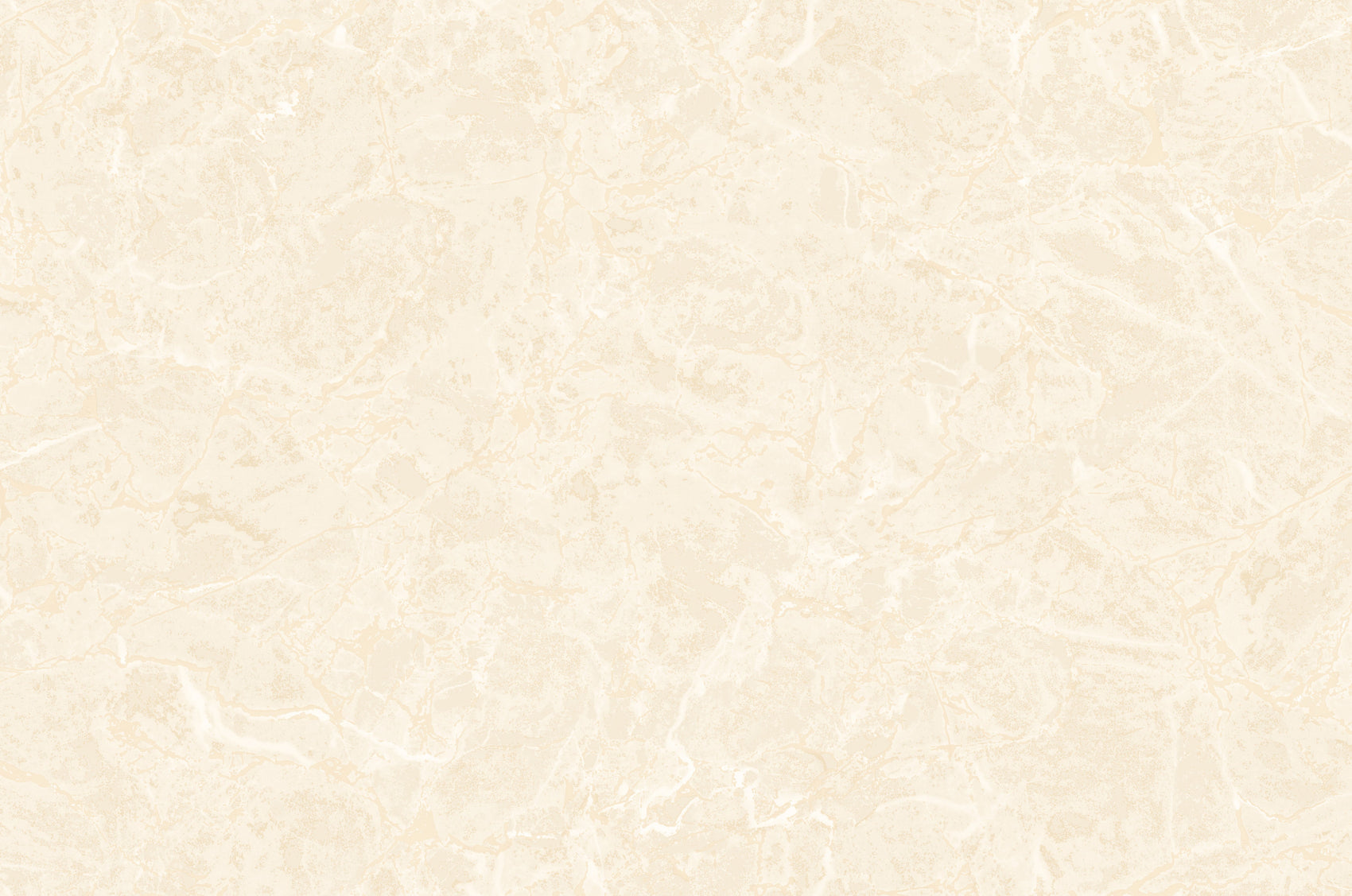 Wit Marmer - ZM13-0081 - Image1 - Philipp Plein 2 - Z81013